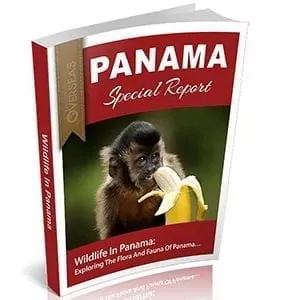 Wildlife In Panama