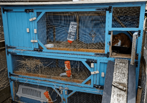 rabbit hutch