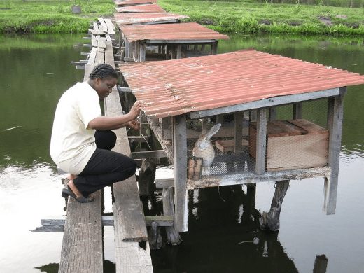 rabbit hutch over water