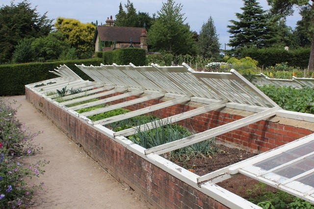 cold frame