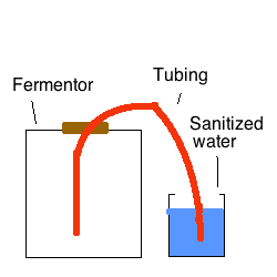 fermentor