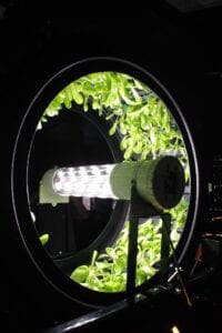 Small-scale (but high-tech) hydroponic beds