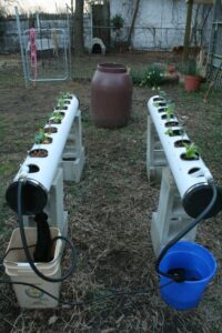 NFT system