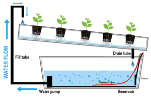 NFT system diagram