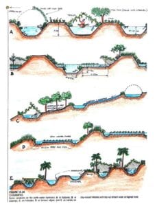 chinampas