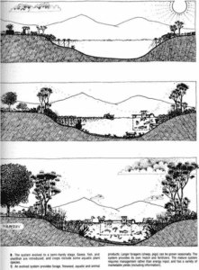 Evolution of an aquaculture pond