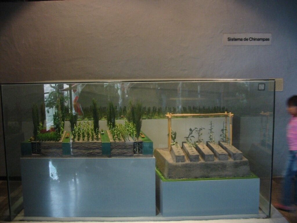 Scale model of Aztec chinampas in Mexico museum