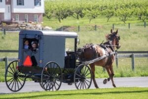 horse car