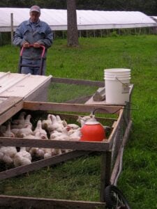 Chicken tractor being moved with a hand dolly