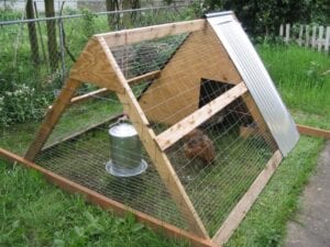 Large chicken coop with enclosed fixed run