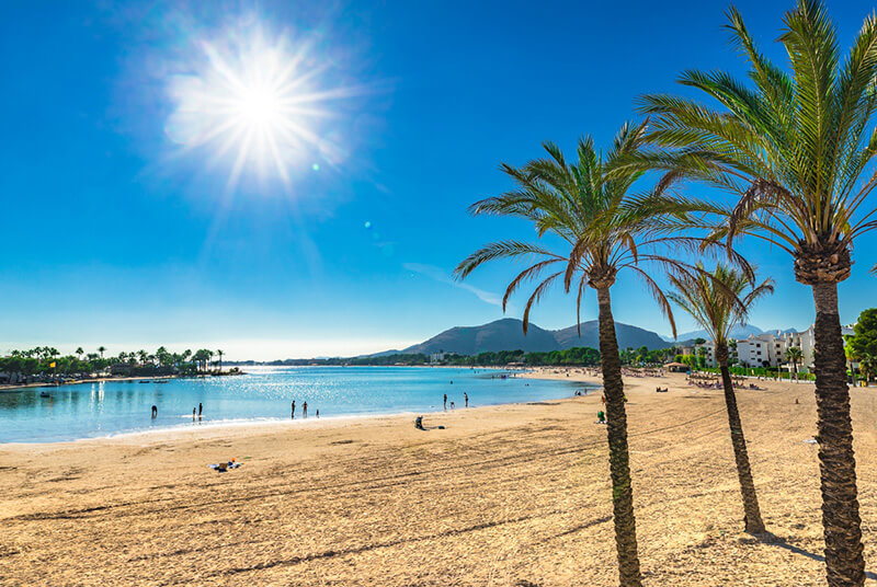 Majorca island, sand beach Platja de Alcudia with palm trees, Spain Mediterranean Sea